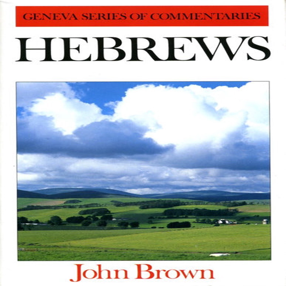 Hebrews (Geneva Commentaries)