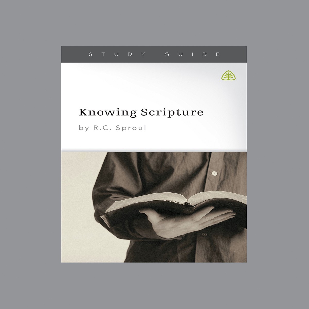 Knowing Scripture, Study Guide