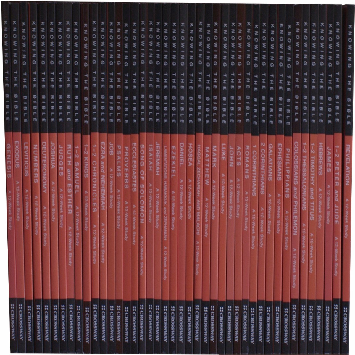 Knowing the Bible: Complete Set (45-Volumes)
