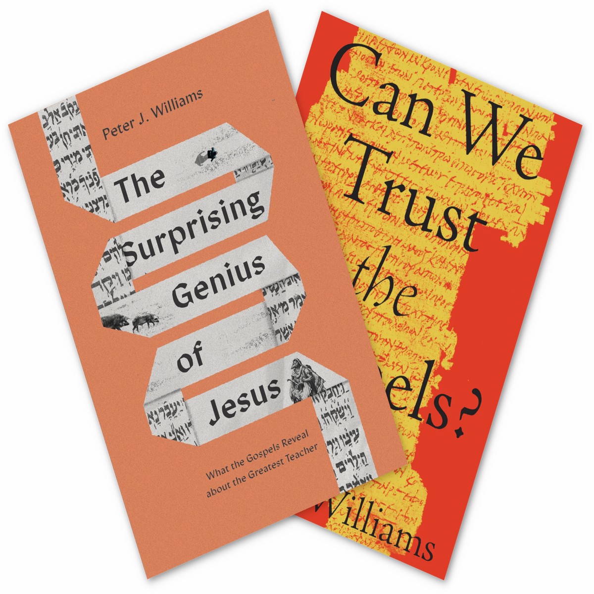 Peter J. Williams Gospels Bundle