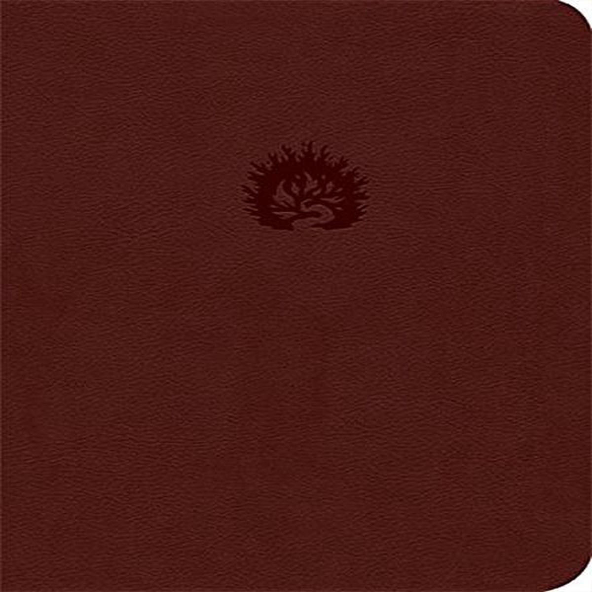 Reformation Study Bible, 2015 Edition (ESV, Imitation Leather, Brick Red)