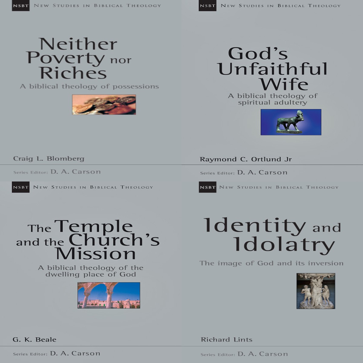 The Essential Theology Bundle (NSBT)