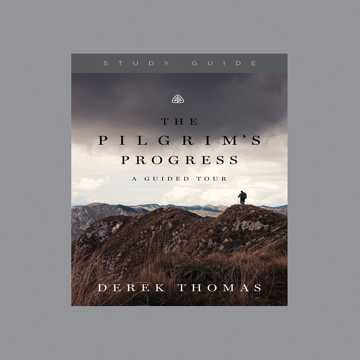 The Pilgrim's Progress: A Guided Tour, Study Guide
