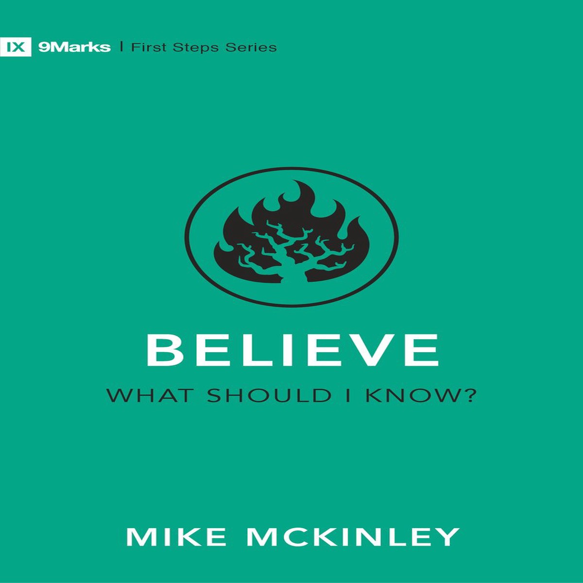 Believe: What Should I Know? (9 Marks - First Steps)