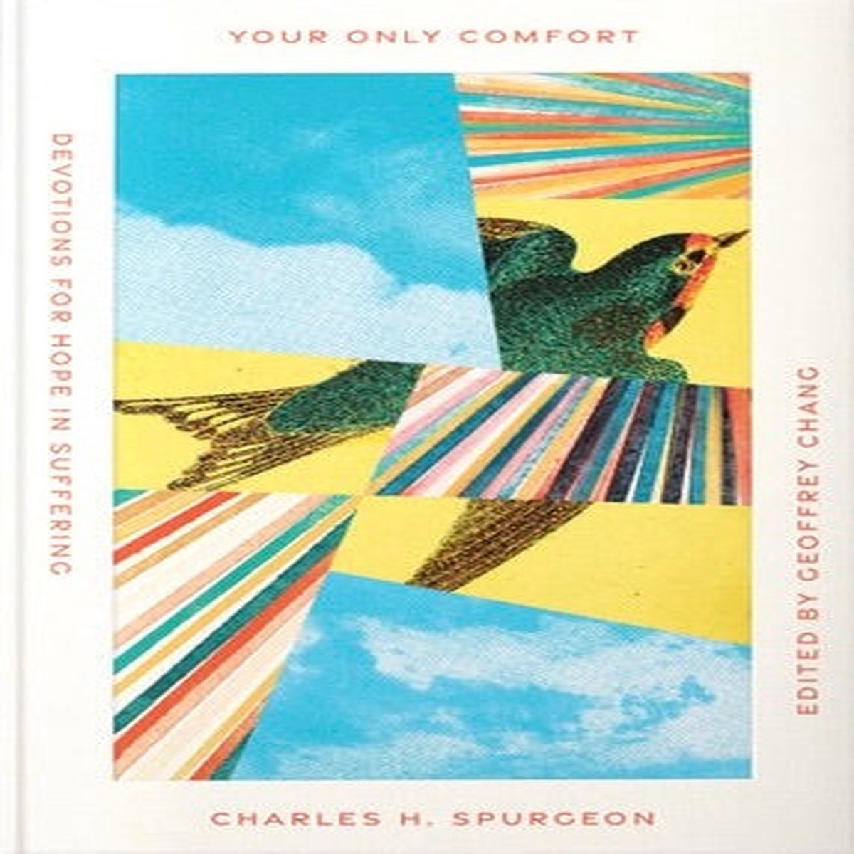 Your Only Comfort: Devotions for Hope in Suffering