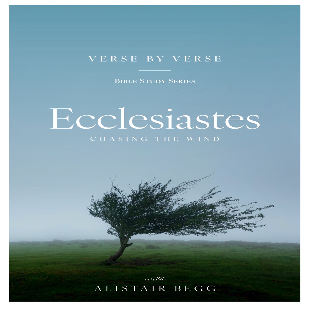 Ecclesiastes: Chasing the Wind