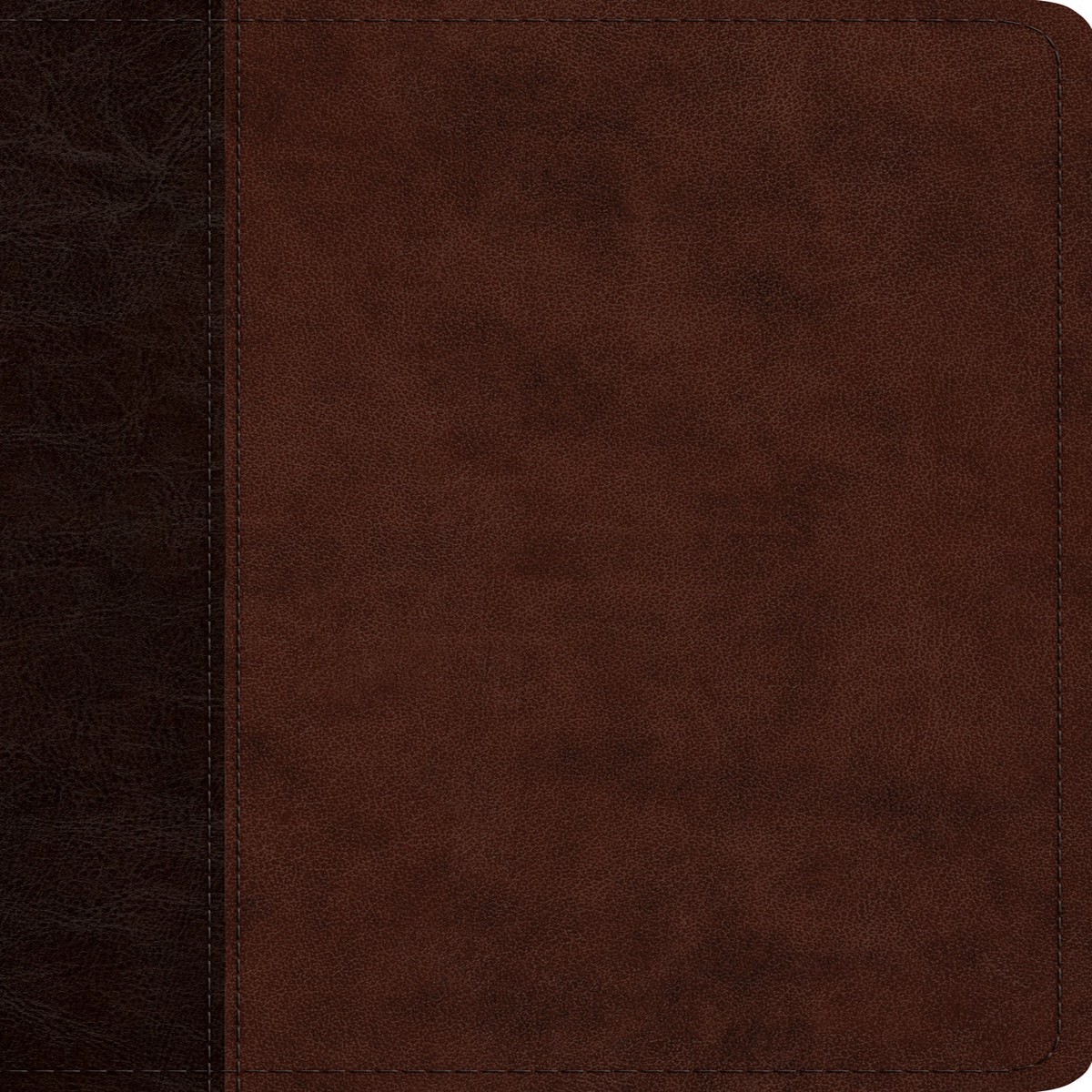 ESV Large Print Thinline Reference Bible (Trutone, Brown/Walnut, Timeless Design)