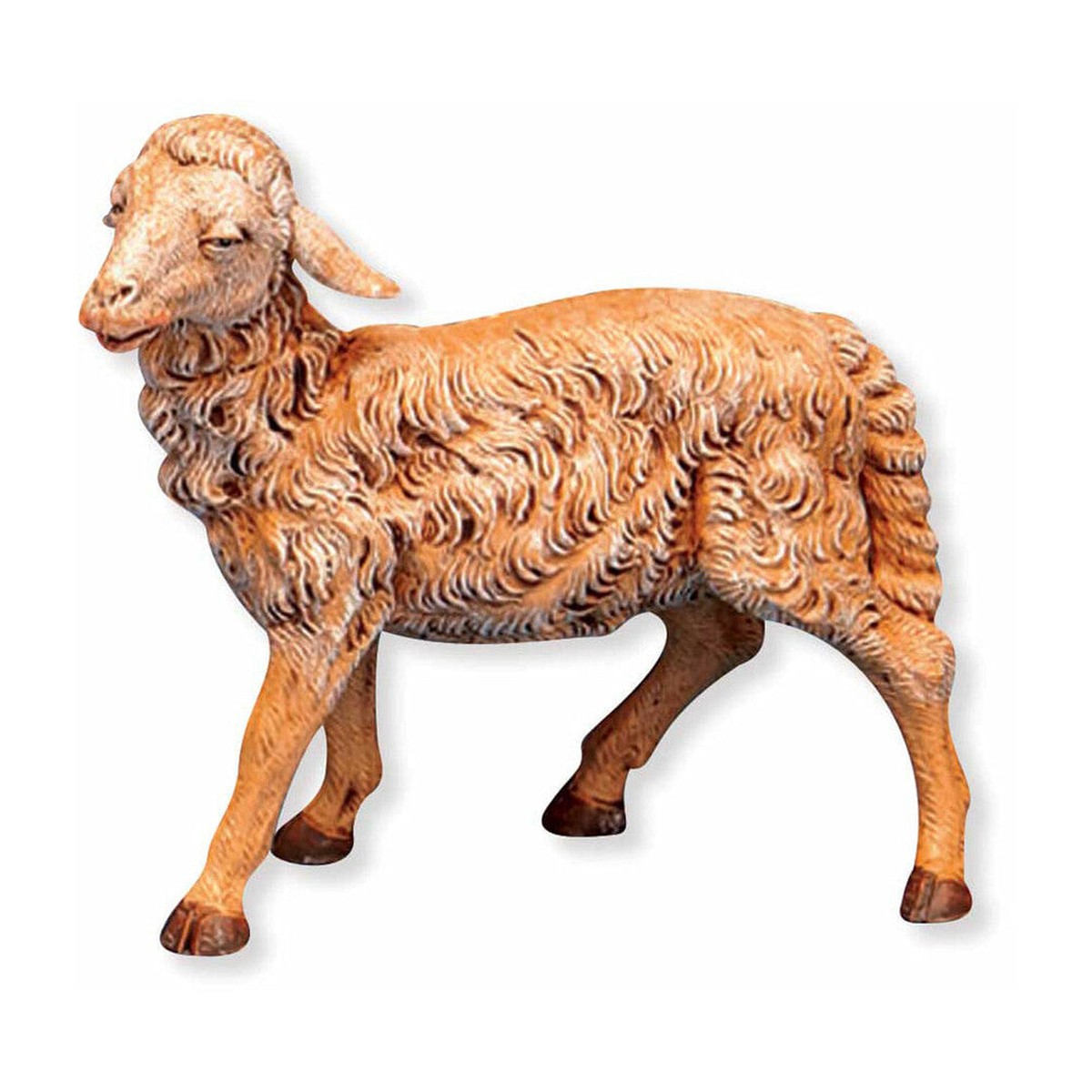 12 Scale Sheep - Head Straight, Style RN52936