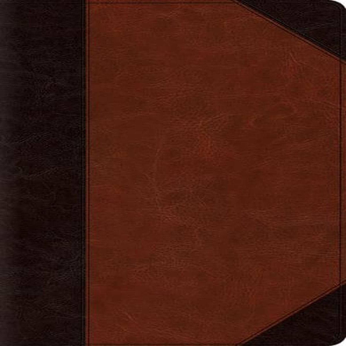 ESV Reference Bible (TruTone, Brown Portfolio Design)