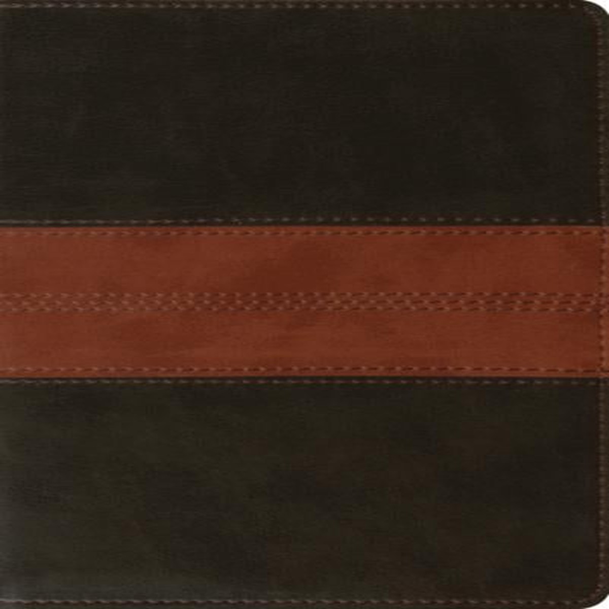 ESV Personal Reference Bible (TruTone, Deep Brown/Tan, Trail Design)