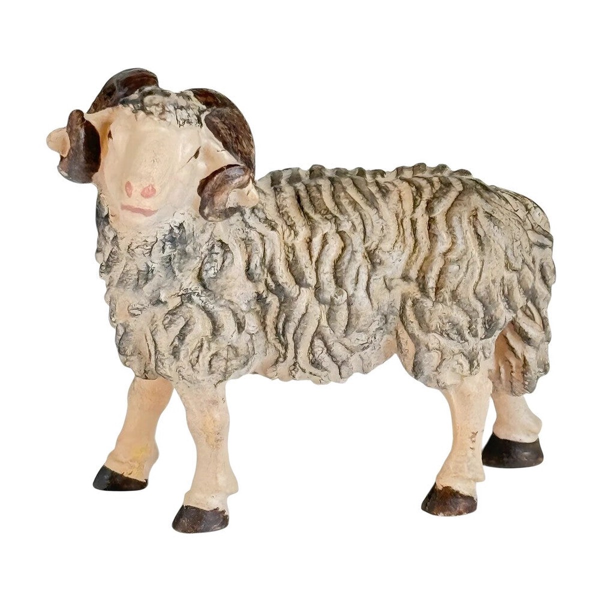 Ram - Maple Wood
