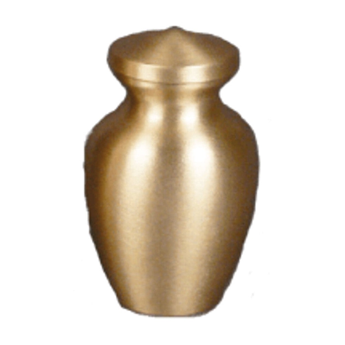 Remembrance/Keepsake Urn