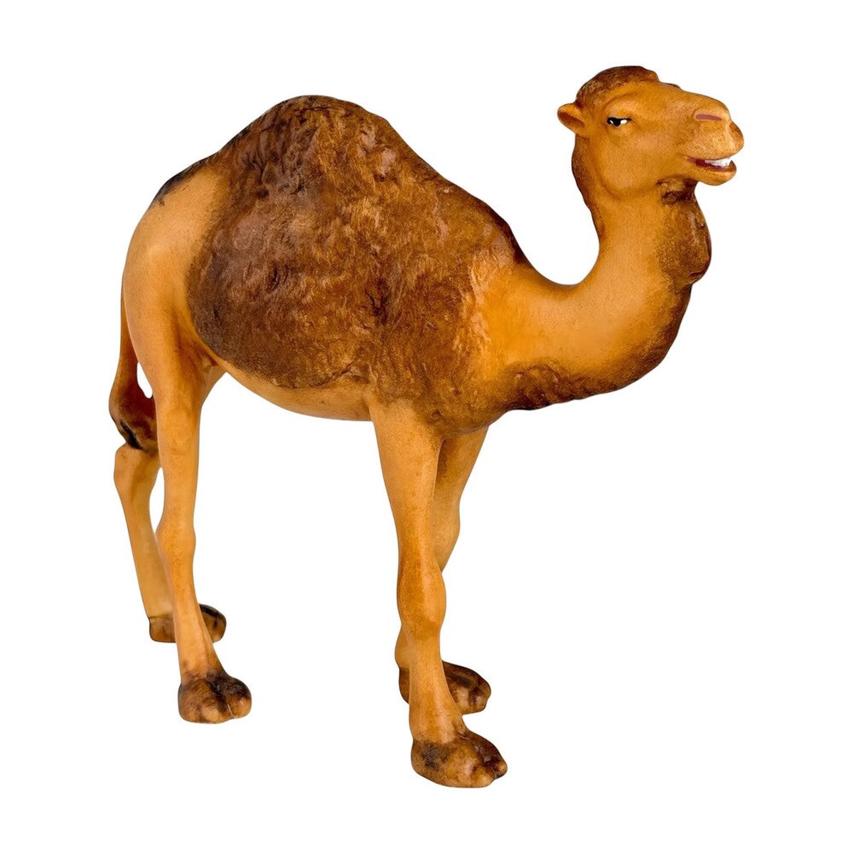 Standing Camel in Maple Wood