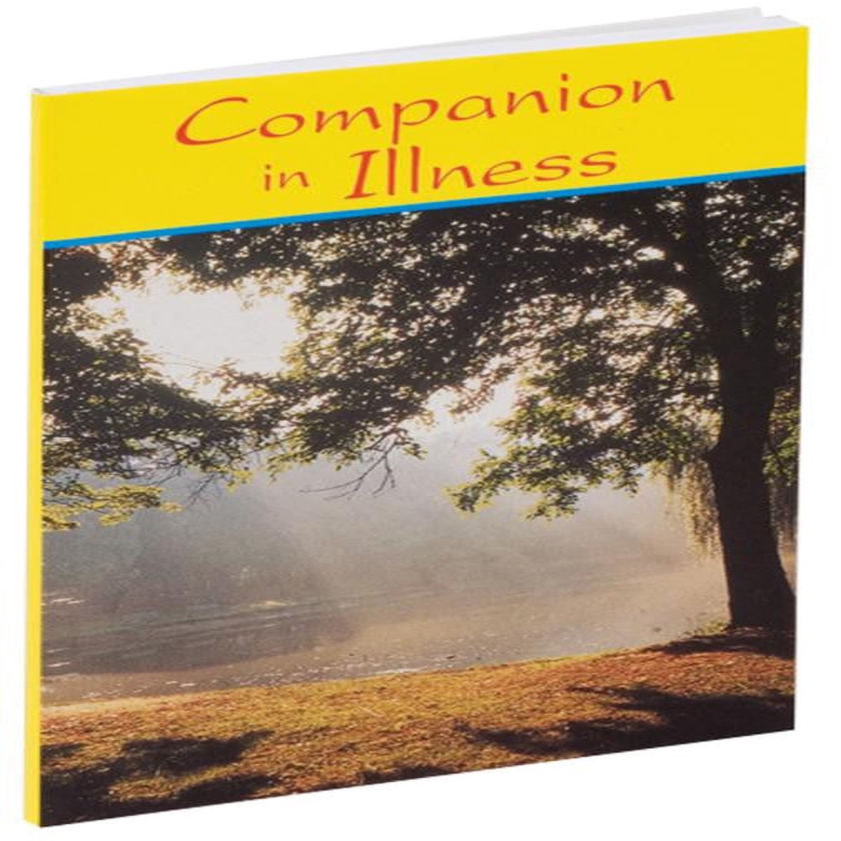 Companion in Illness