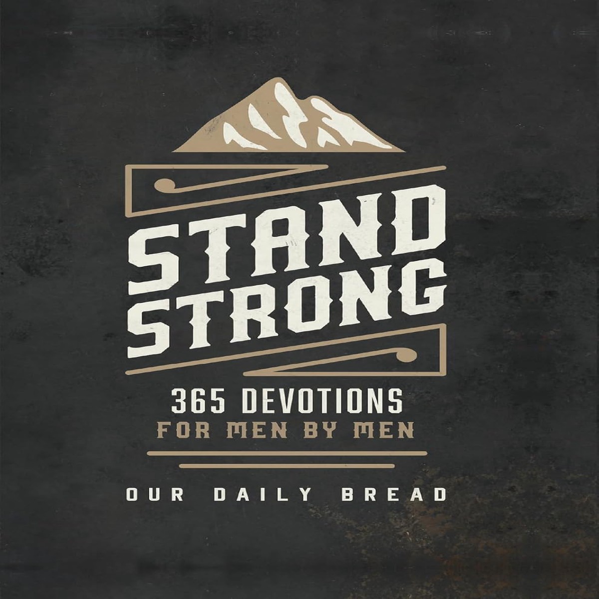 Stand Strong: 365 Daily Devotions For Men