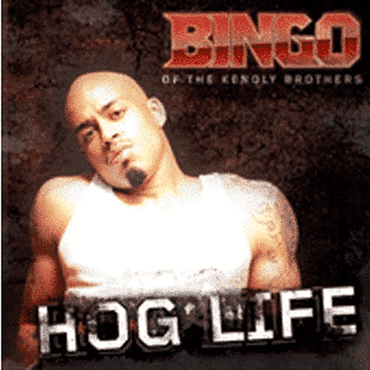 HOG Life - Bingo