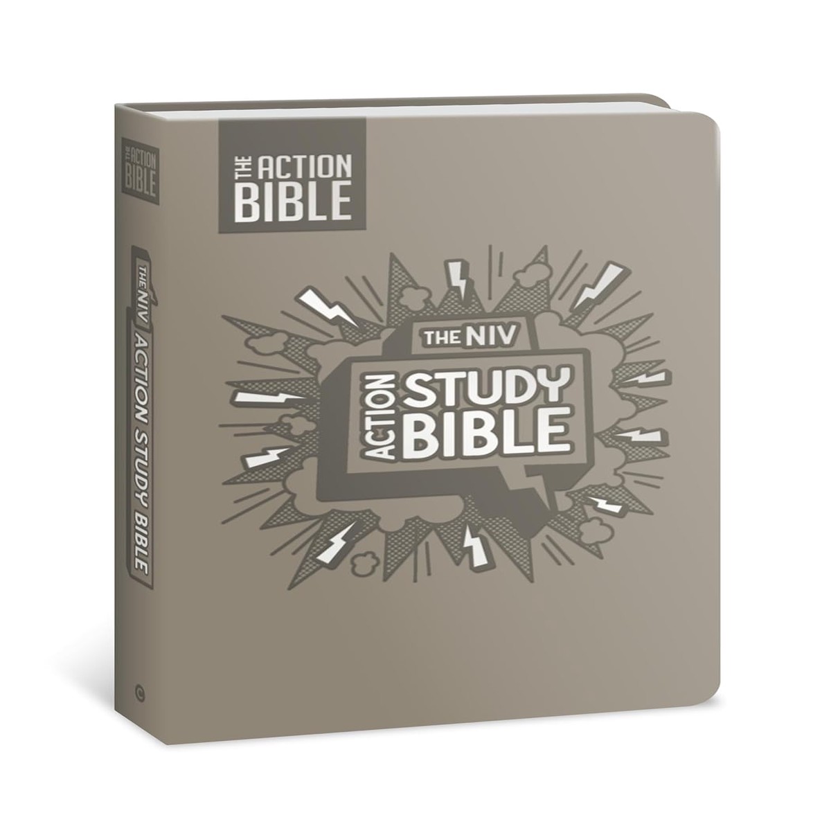 The NIV Action Study Bible (Gray Leathersoft)