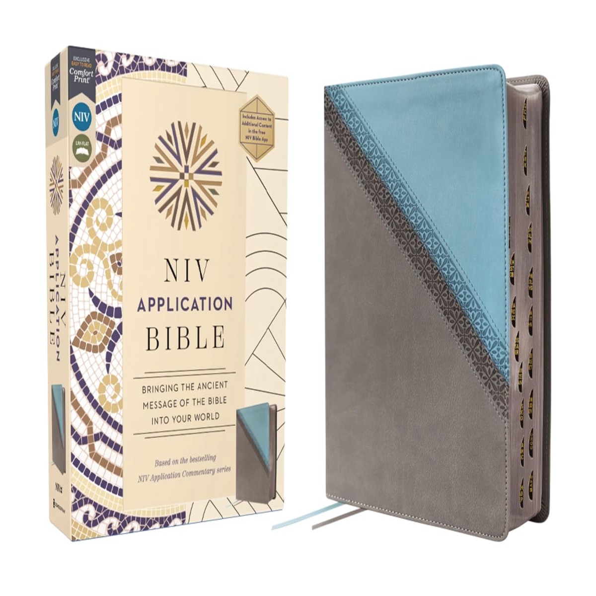 NIV Indexed Application Bible (Teal/Gray)