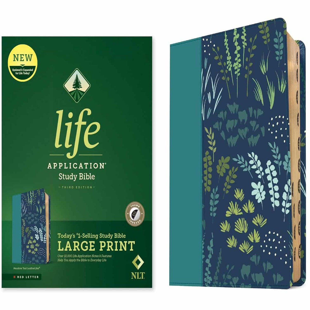 NLT Life Application Study Bible: Third Edition (Indexed, Large Print, Meadow Teal)
