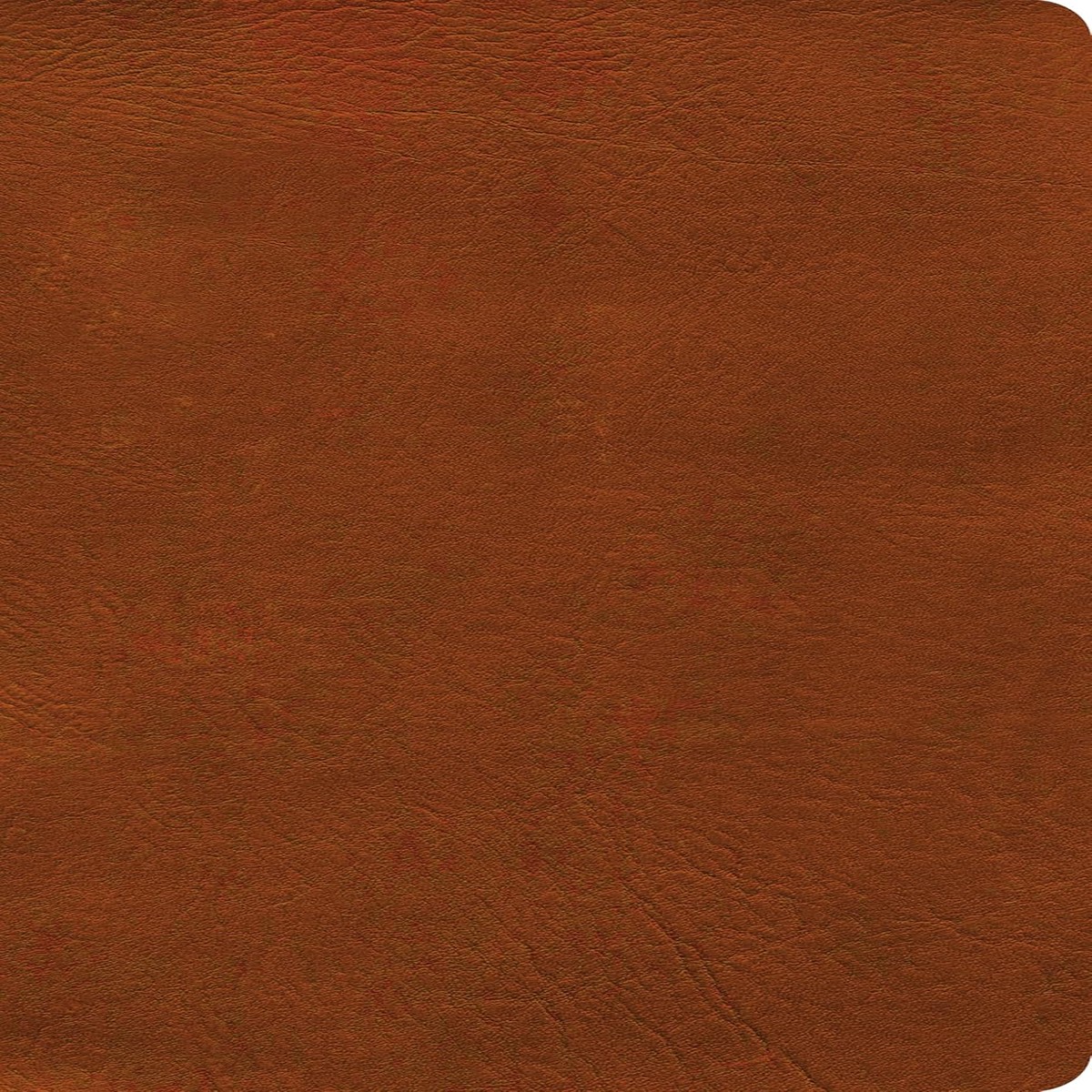NASB Verse-By-Verse Reference Bible (Burnt Sienna)