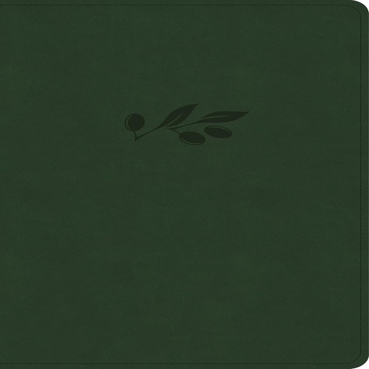 NASB Verse-By-Verse Reference Bible (Olive)
