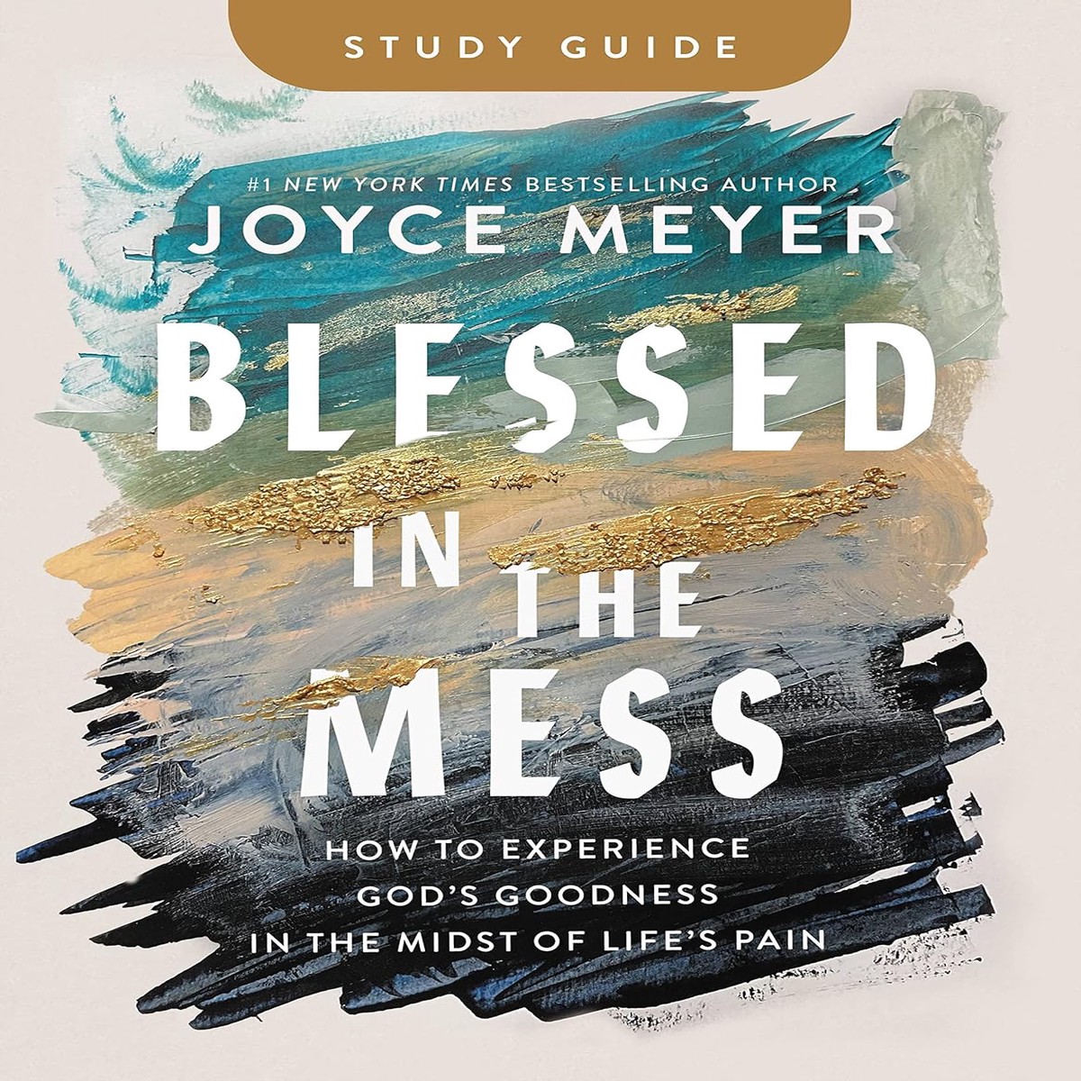 Blessed in the Mess Study Guide - Joyce Meyer
