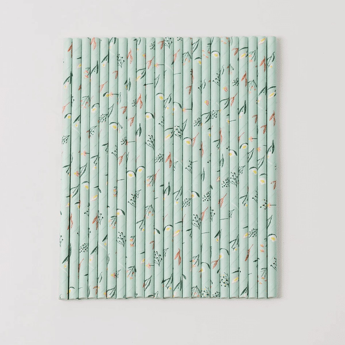 Everyday is Easter Paper Straws