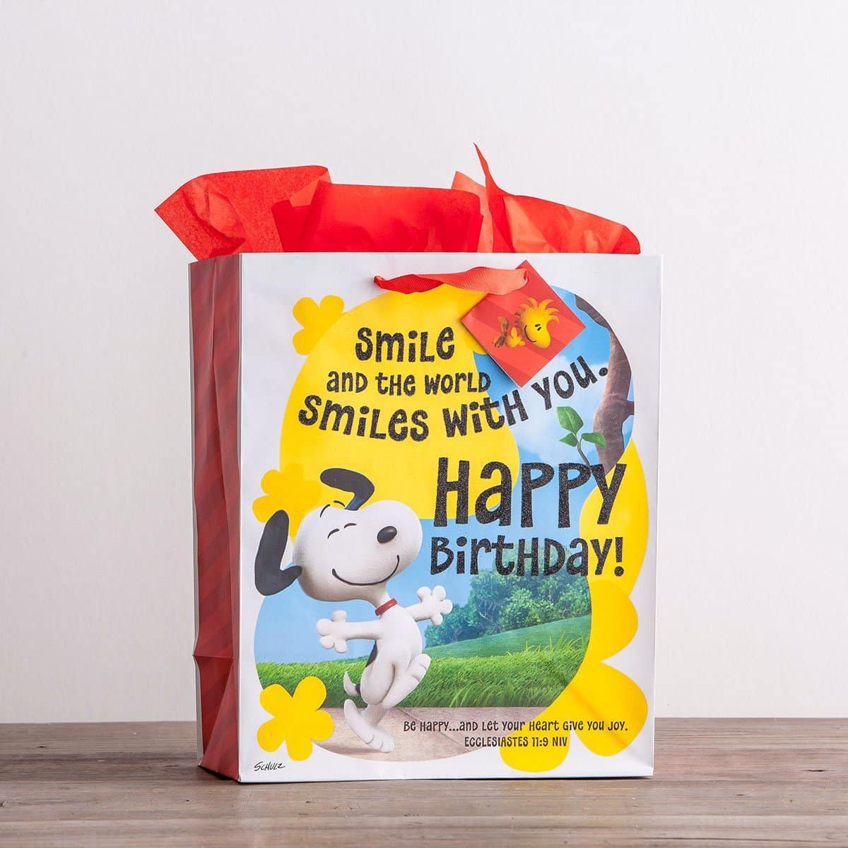 Gift Bag: Peanuts Birthday (Large)
