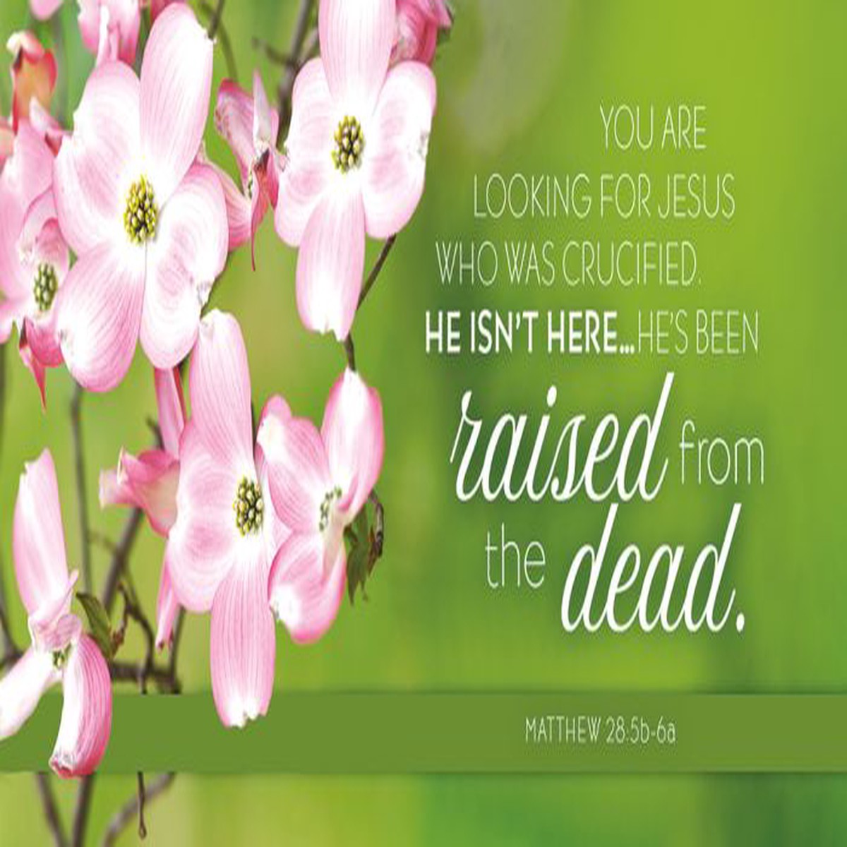 Offering Envelope: Crucified (Easter, 100 PK)