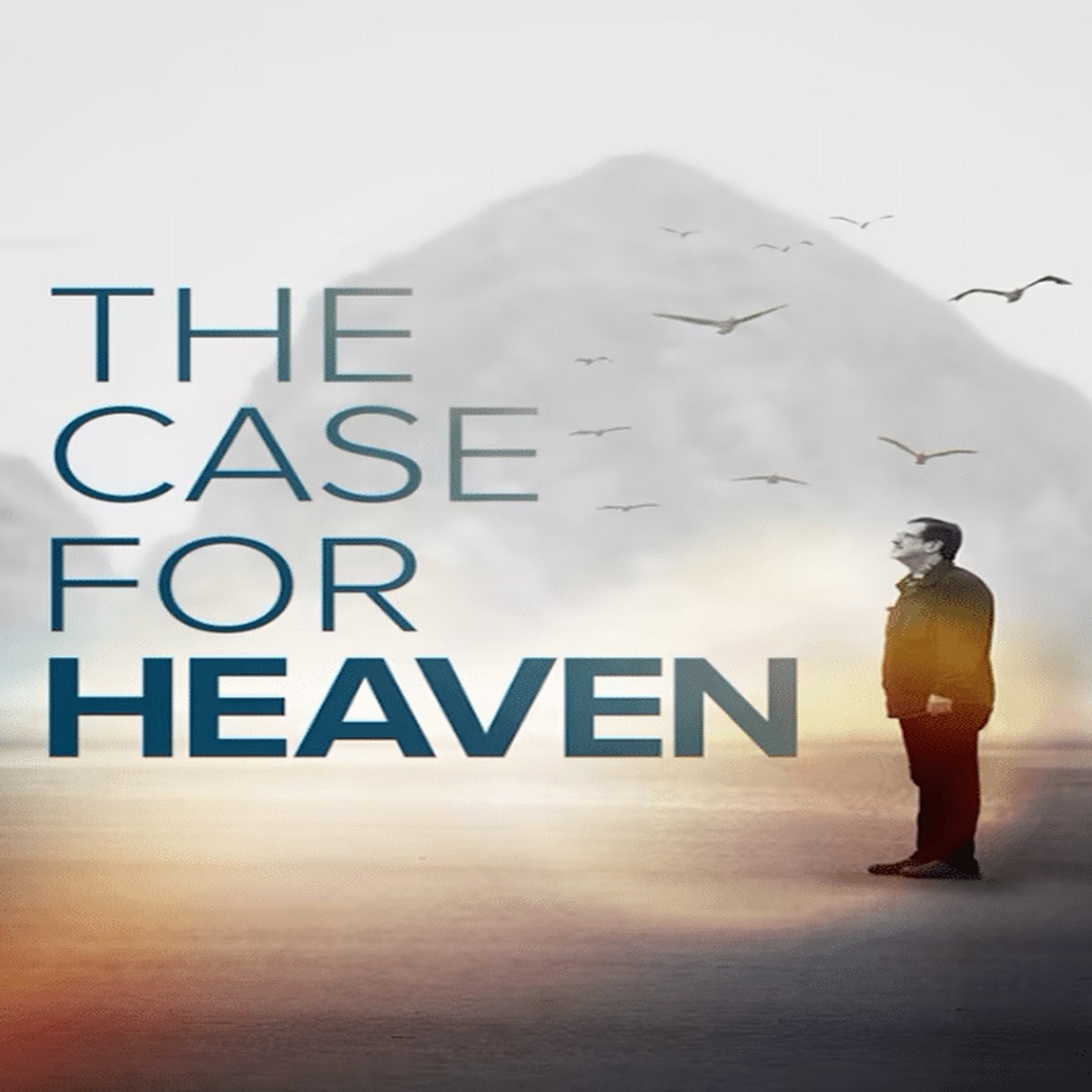 The Case For Heaven (DVD)