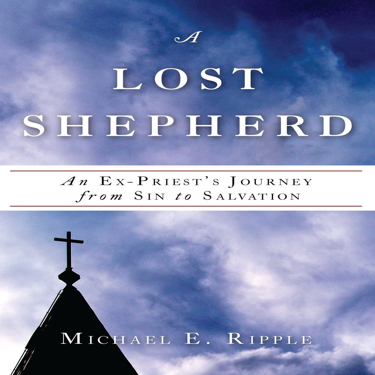 A Lost Shepherd - Michael E Ripple