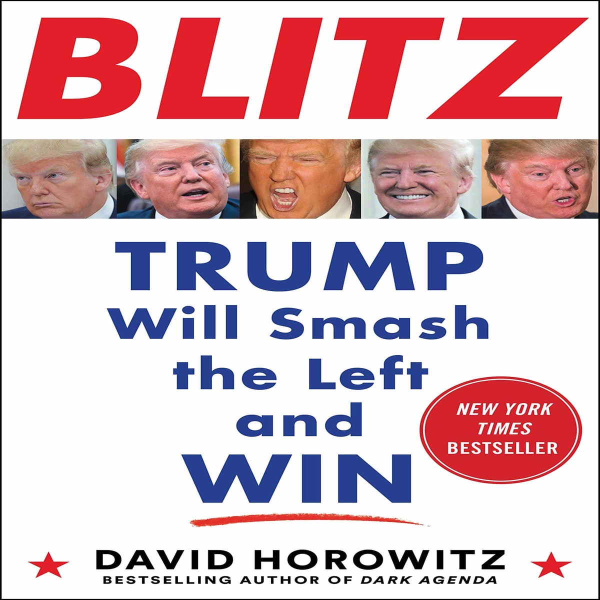 BLITZ: Trump Will Smash the Left and Win - David Horowitz