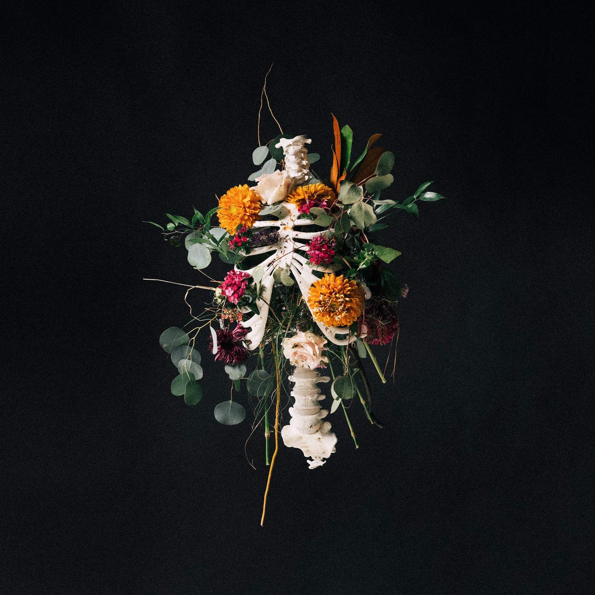 Graves Into Gardens (Live) - Elevation Worship
