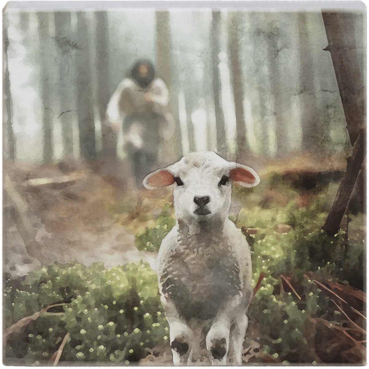 Small Talk Square: Jesus Rescuing Lamb