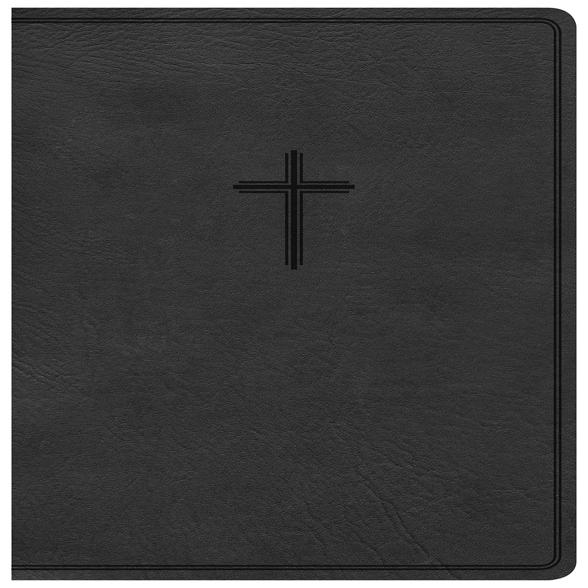 KJV Everyday Study Bible