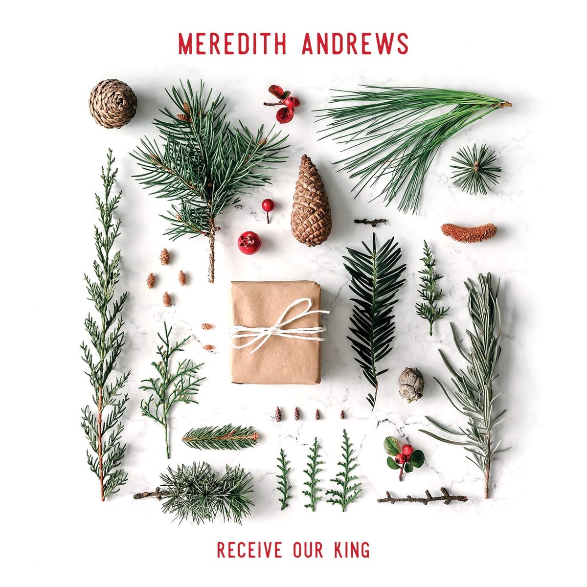 Receive Our King - Meredith Andrews