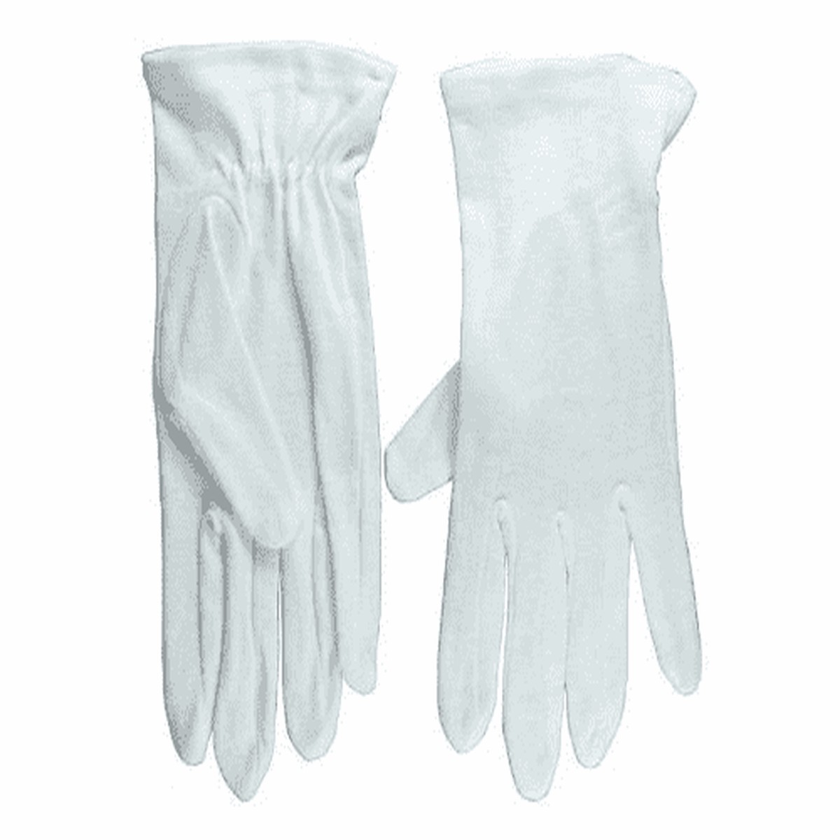 Usher Gloves: Plain White (Small)