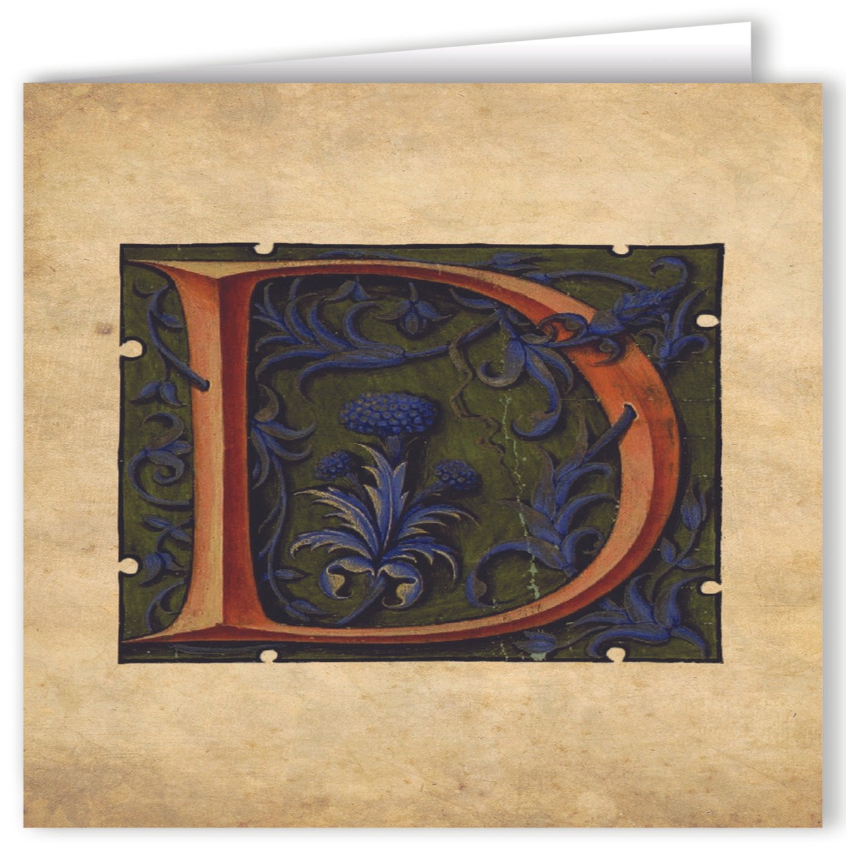 Letter D Illuminated Manuscript Note Card
