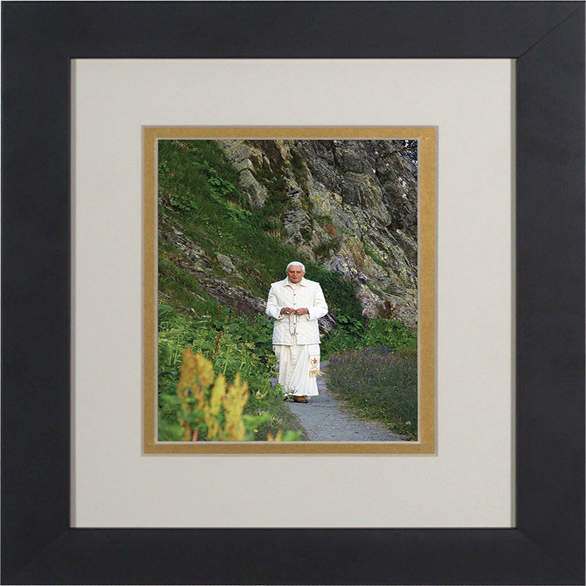 Pope Benedict In Mountains Matted - Black Framed Art