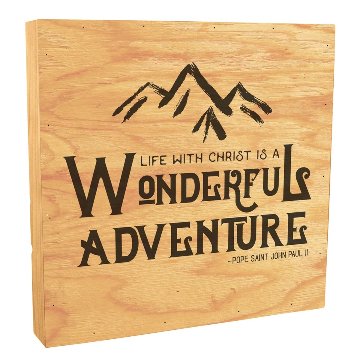 Wonderful Adventure Rustic Box Art