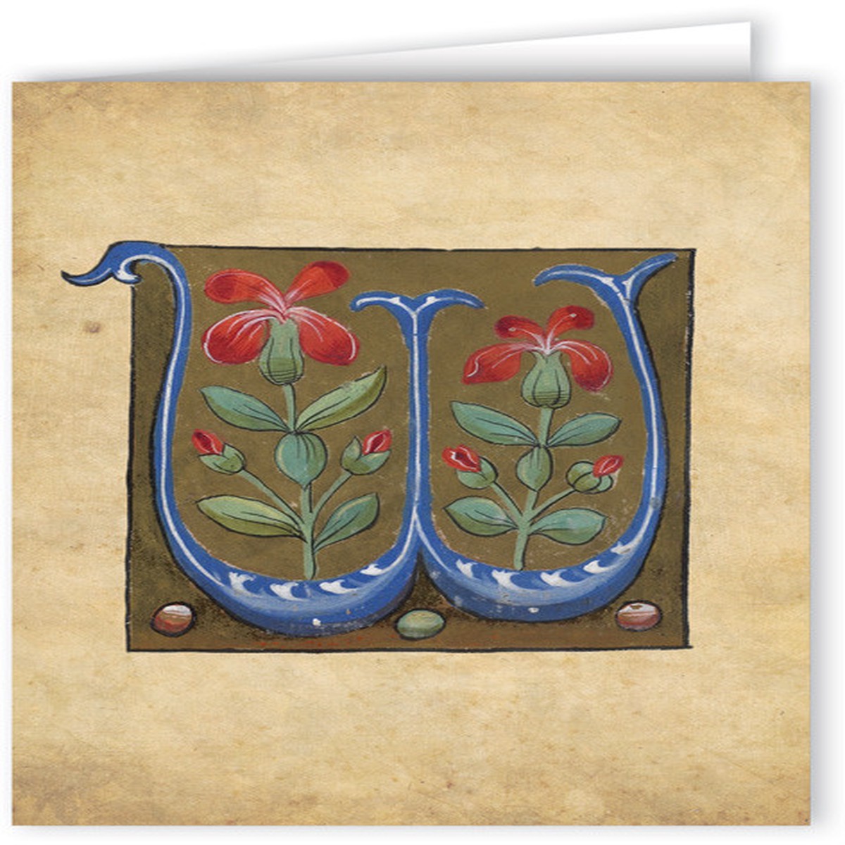 Letter W Illuminated Manuscript Note Card