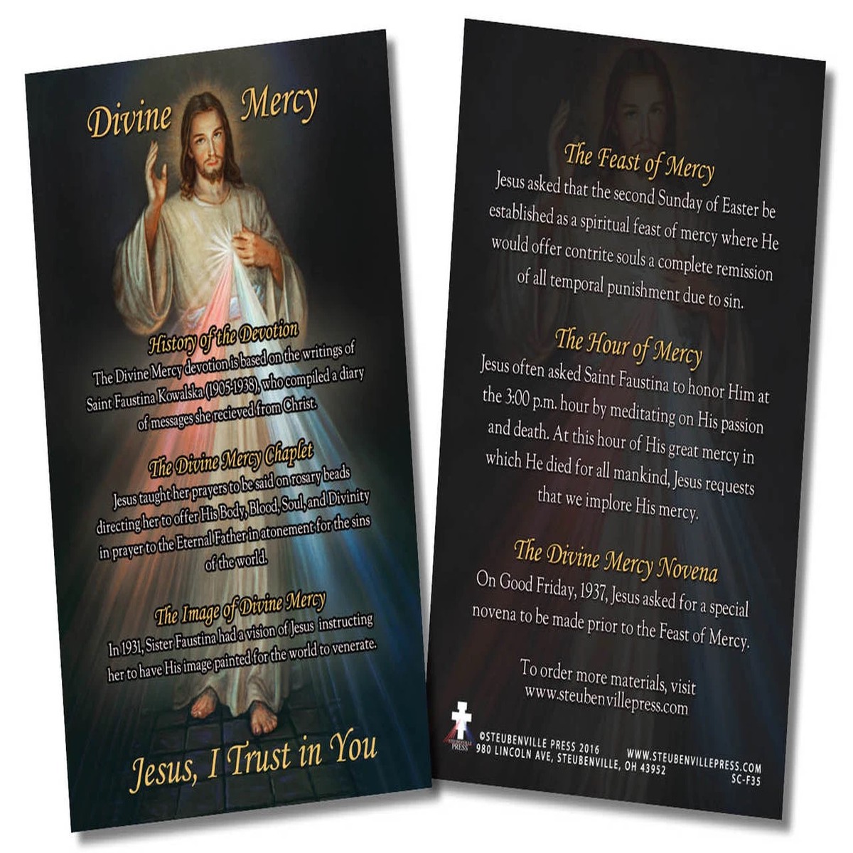 Divine Mercy Faith Explained Card