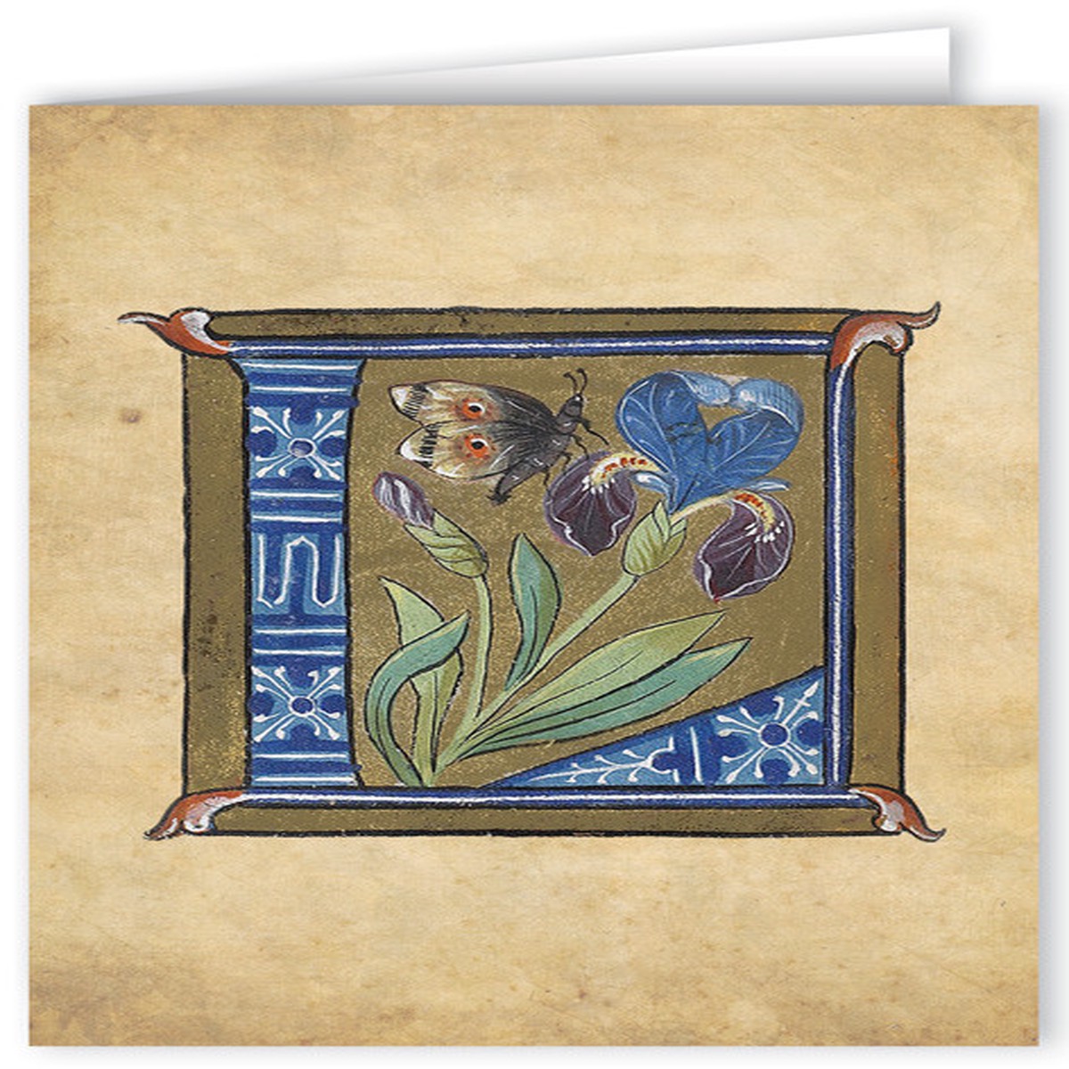 Letter L Illuminated Manuscript Note Card