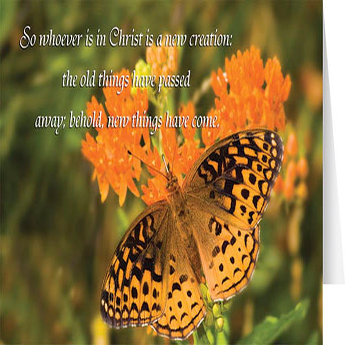 A New Creation Greeting Card