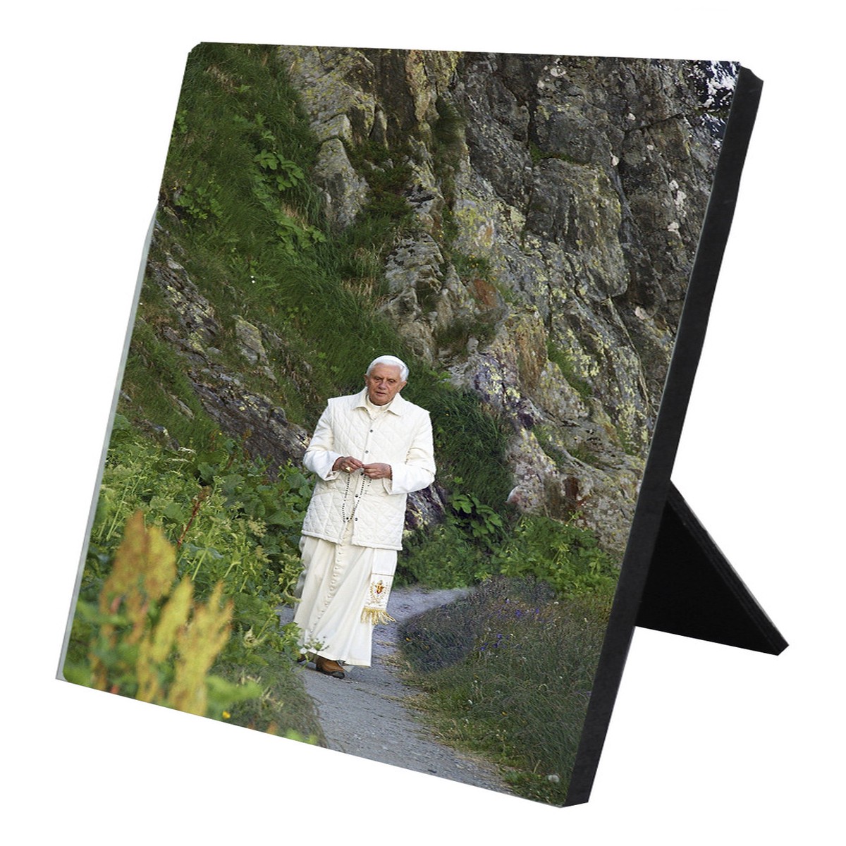 Pope Benedict in Mountains Vertical Desk Plaque