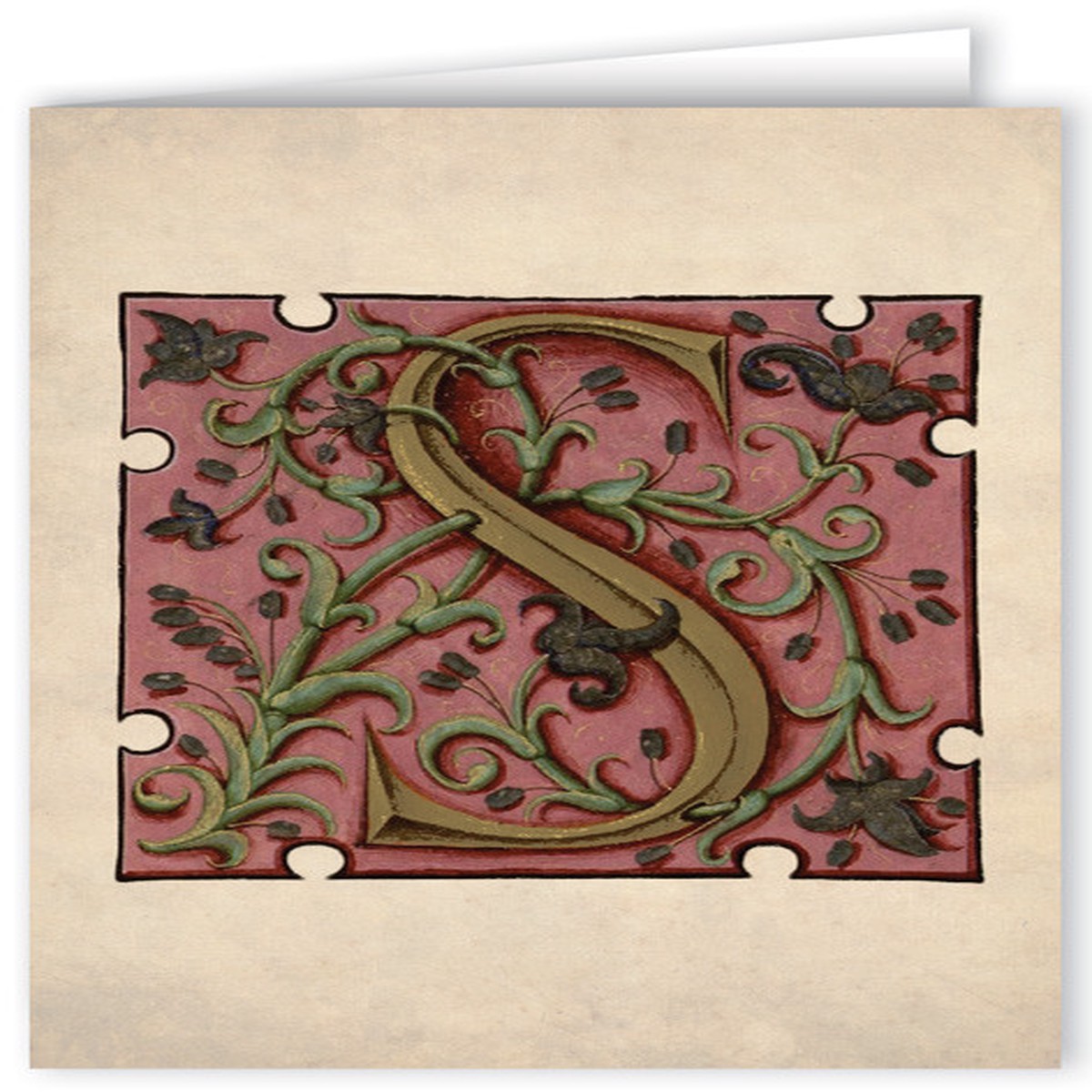 Letter S Illuminated Manuscript Note Card