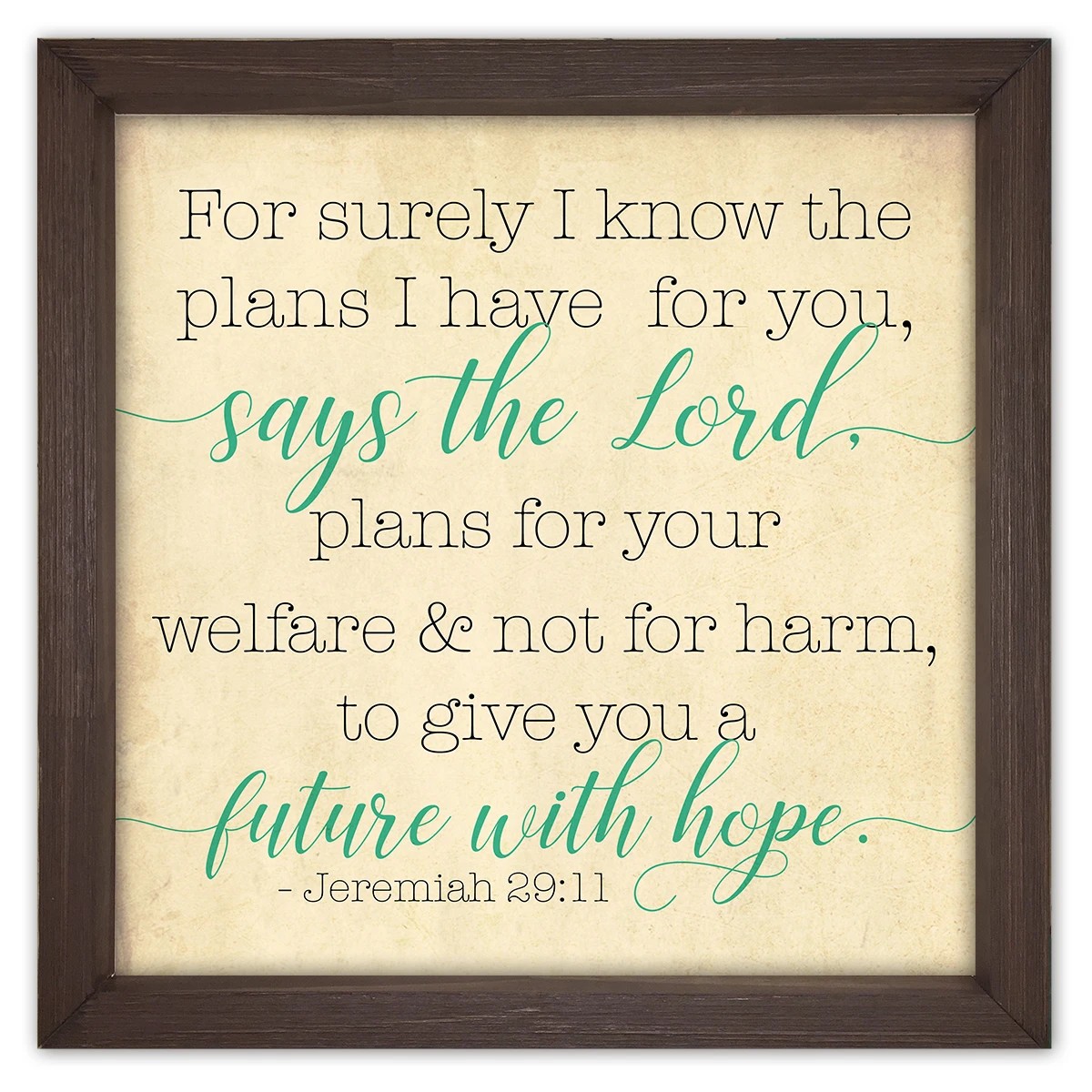 Jeremiah 29:11 Framed Quote