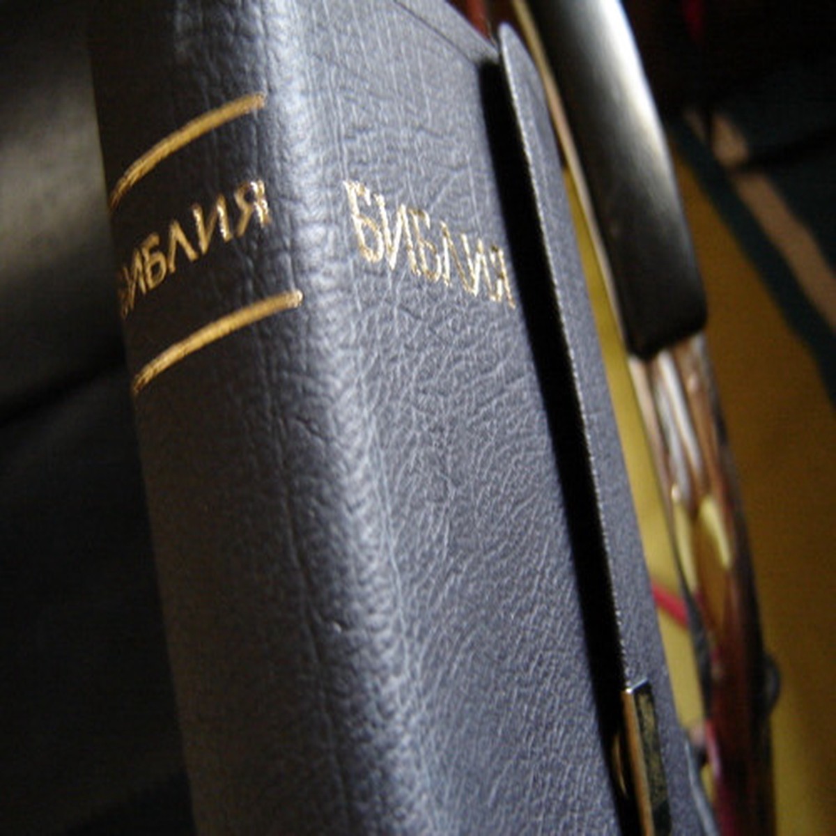 Russian Trimline Bible with Dictionary / Leather Bound with button-flap / Gol...