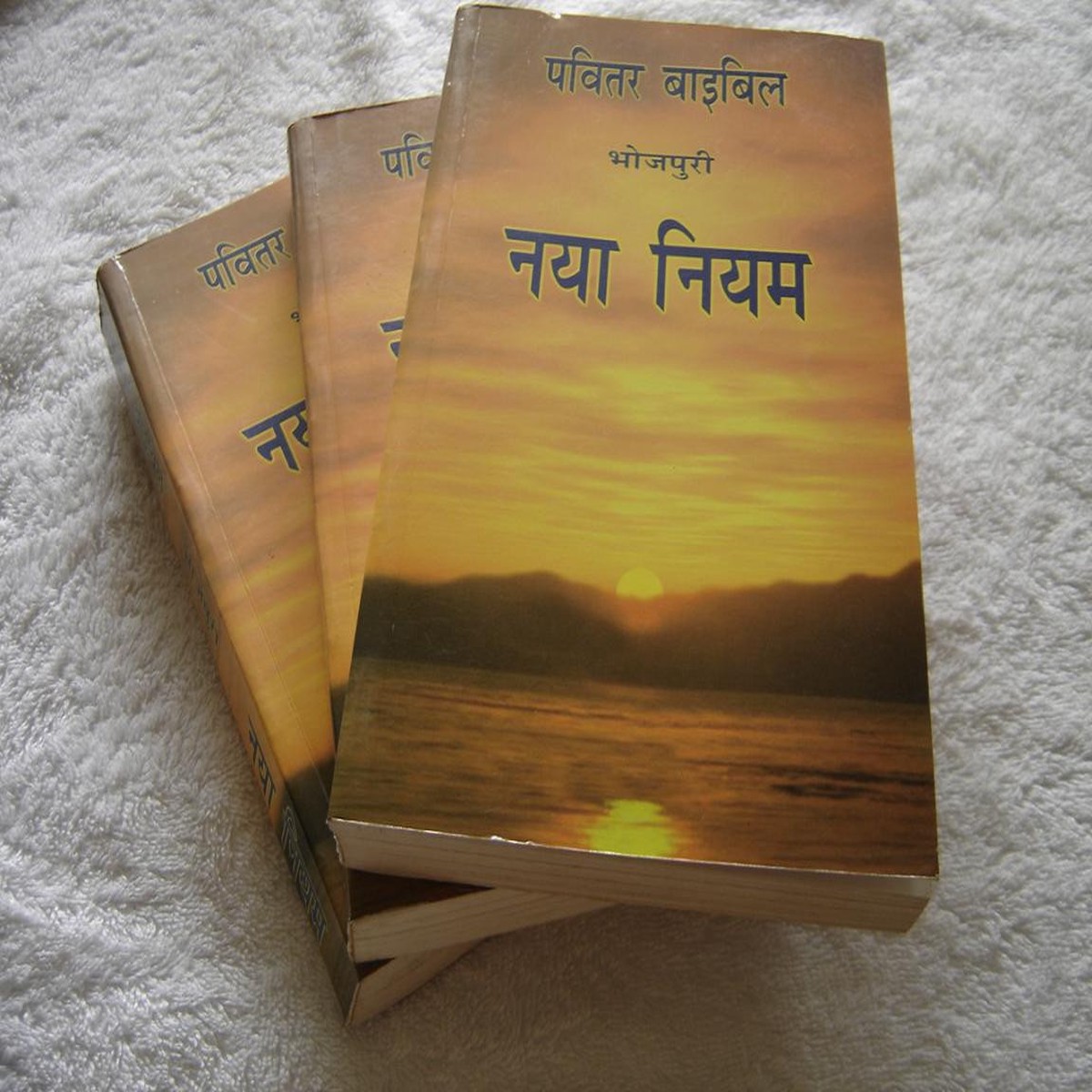 Bhojpuri Language New Testament /