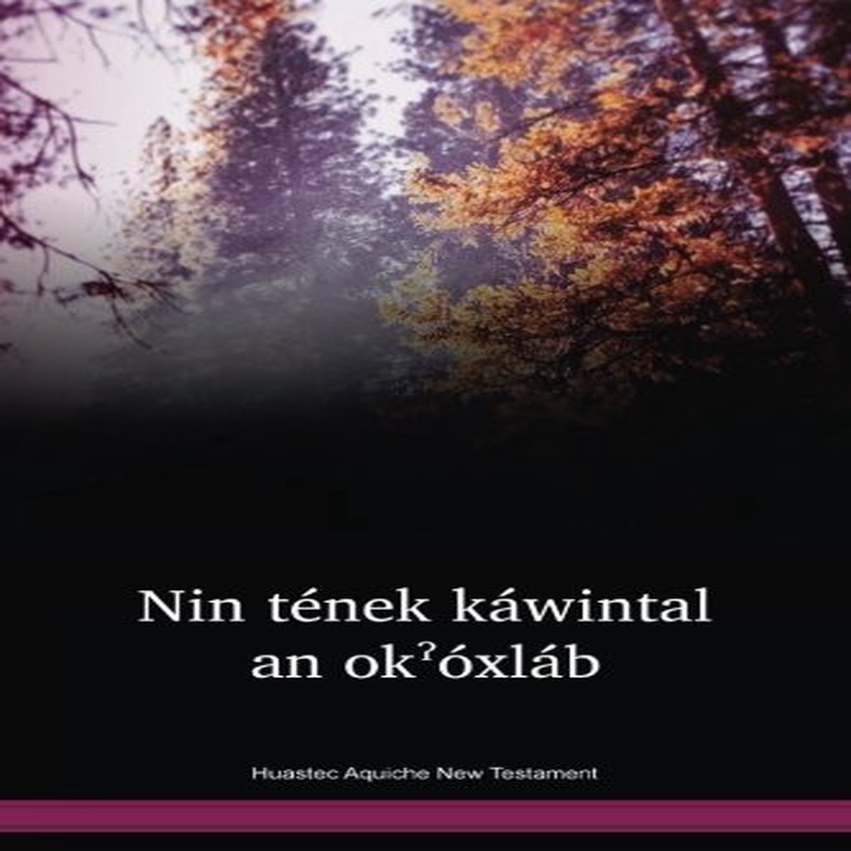 Huastec Aquiche Language New Testament / Mexico